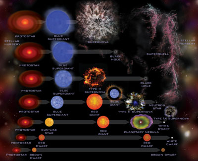 Schéma d'évolution des étoiles en fonction de leur masse.